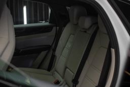 https://img.olx.com.br/thumbs256x256/95/950549722896493.jpg