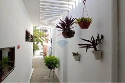 https://img.olx.com.br/thumbs256x256/95/950564649499763.jpg