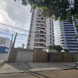 https://img.olx.com.br/thumbs256x256/95/951511521072526.jpg