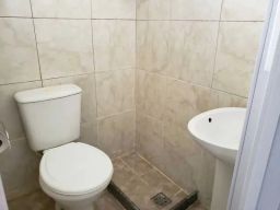 https://img.olx.com.br/thumbs256x256/95/952566524169958.jpg