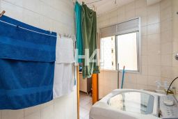 https://img.olx.com.br/thumbs256x256/95/952583635168953.jpg