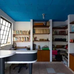 https://img.olx.com.br/thumbs256x256/95/952668295154905.jpg