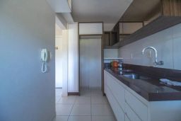 https://img.olx.com.br/thumbs256x256/95/953538644918565.jpg