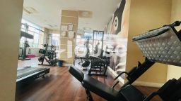 https://img.olx.com.br/thumbs256x256/95/953541155520561.jpg
