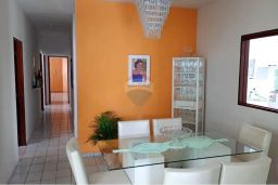 https://img.olx.com.br/thumbs256x256/95/953546647254023.jpg