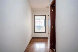 https://img.olx.com.br/thumbs256x256/95/953564161135770.jpg