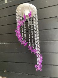 https://img.olx.com.br/thumbs256x256/95/953587751590800.jpg
