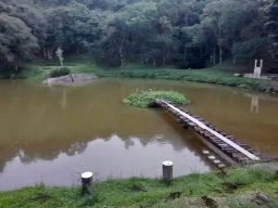 https://img.olx.com.br/thumbs256x256/95/954538040750720.jpg