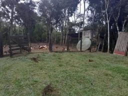 https://img.olx.com.br/thumbs256x256/95/954554641614178.jpg