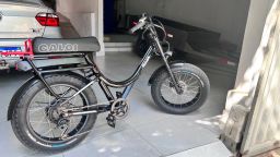https://img.olx.com.br/thumbs256x256/95/954555884626489.jpg