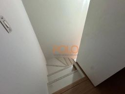 https://img.olx.com.br/thumbs256x256/95/954597760279407.jpg