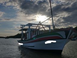 Título do anúncio: Barco de pesca forma arraia com motor MWM