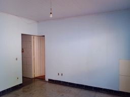 https://img.olx.com.br/thumbs256x256/95/955453819486264.jpg