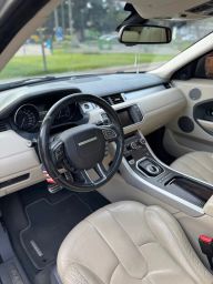 https://img.olx.com.br/thumbs256x256/95/955510404439702.jpg