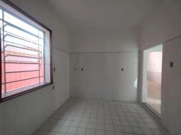 https://img.olx.com.br/thumbs256x256/95/955514400328838.jpg