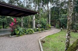 https://img.olx.com.br/thumbs256x256/95/955547289998574.jpg