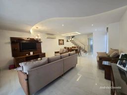https://img.olx.com.br/thumbs256x256/95/956544523164162.jpg