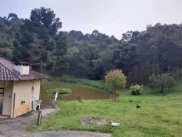 https://img.olx.com.br/thumbs256x256/95/956549520463277.jpg