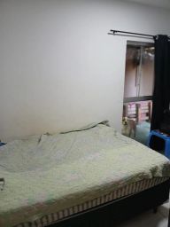 https://img.olx.com.br/thumbs256x256/95/956555164301443.jpg