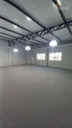 https://img.olx.com.br/thumbs256x256/95/956567289132873.jpg