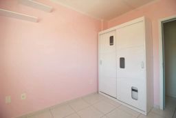 https://img.olx.com.br/thumbs256x256/95/956590641789508.jpg