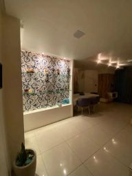 https://img.olx.com.br/thumbs256x256/95/957522160690237.jpg
