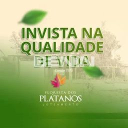 https://img.olx.com.br/thumbs256x256/95/957570529811697.jpg