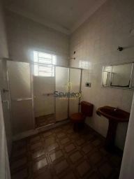 https://img.olx.com.br/thumbs256x256/95/958559164988621.jpg