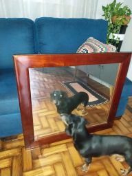 https://img.olx.com.br/thumbs256x256/95/959548752680147.jpg