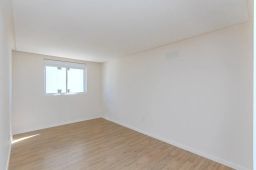 https://img.olx.com.br/thumbs256x256/96/960530404868046.jpg
