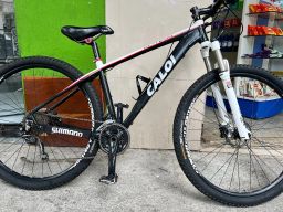 https://img.olx.com.br/thumbs256x256/96/960542632917760.jpg