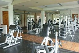 https://img.olx.com.br/thumbs256x256/96/960558404842304.jpg