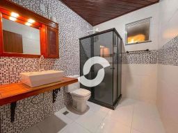 https://img.olx.com.br/thumbs256x256/96/960577285958743.jpg