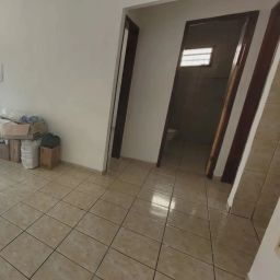 https://img.olx.com.br/thumbs256x256/96/960589883079602.jpg