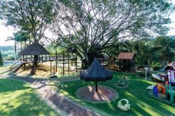 https://img.olx.com.br/thumbs256x256/96/961535044221181.jpg