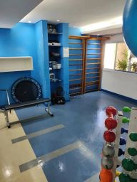 https://img.olx.com.br/thumbs256x256/96/961553884805795.jpg