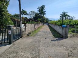 https://img.olx.com.br/thumbs256x256/96/961559158800612.jpg