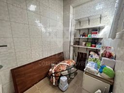 https://img.olx.com.br/thumbs256x256/96/962538641186647.jpg