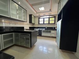 https://img.olx.com.br/thumbs256x256/96/962541525785724.jpg