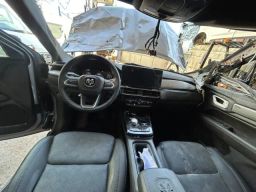 https://img.olx.com.br/thumbs256x256/96/962543746091902.jpg