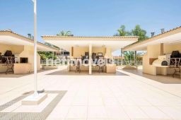 https://img.olx.com.br/thumbs256x256/96/963517167046863.jpg