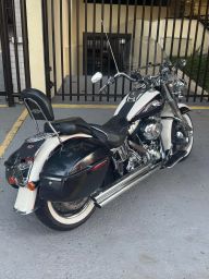 https://img.olx.com.br/thumbs256x256/96/963676917376996.jpg