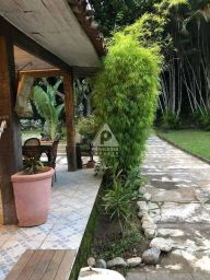 https://img.olx.com.br/thumbs256x256/96/964542639729696.jpg