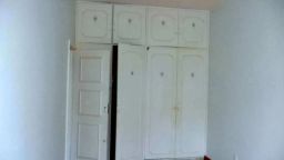 https://img.olx.com.br/thumbs256x256/96/964557032388847.jpg