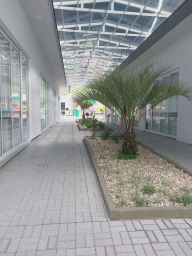https://img.olx.com.br/thumbs256x256/96/964584152662816.jpg