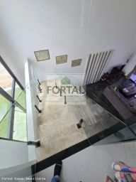 https://img.olx.com.br/thumbs256x256/96/965494225317305.jpg