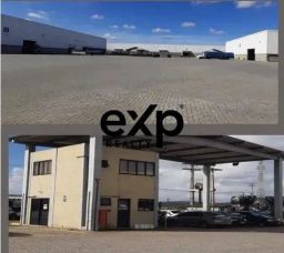 https://img.olx.com.br/thumbs256x256/96/965533529303898.jpg