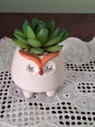 https://img.olx.com.br/thumbs256x256/96/965578031990452.jpg