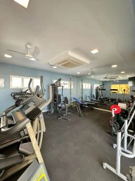 https://img.olx.com.br/thumbs256x256/96/966500753992685.jpg