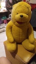 https://img.olx.com.br/thumbs256x256/96/966556039750867.jpg